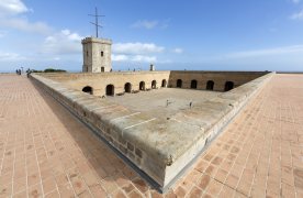 Visita guiada al Castell