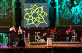 Artistes de Flamenkat actuant a l'escenari del Palau