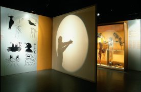 Espai d'ombres de l'exposició permanent Museu del Cinema