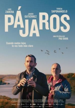 Cartel de la película PÁJAROS