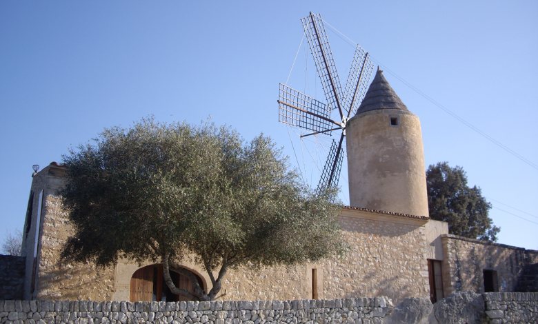 Museu de son Fornés