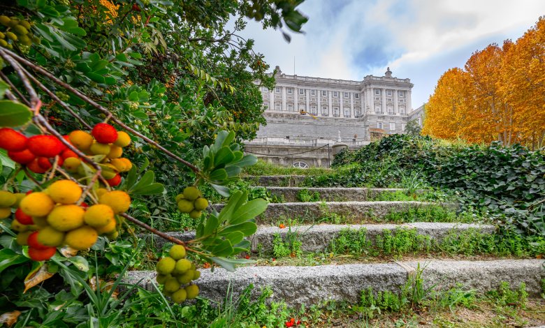 Jardines del Campo del Moro