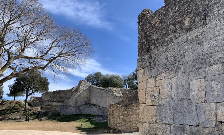 castell olèrdola