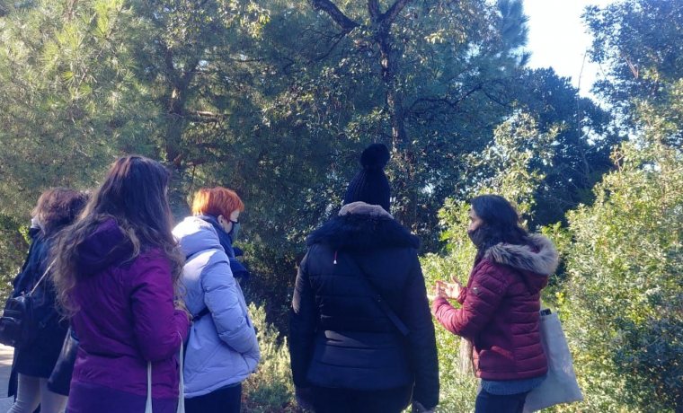 Comunitats en collage - Jardí Botànic de Barcelona