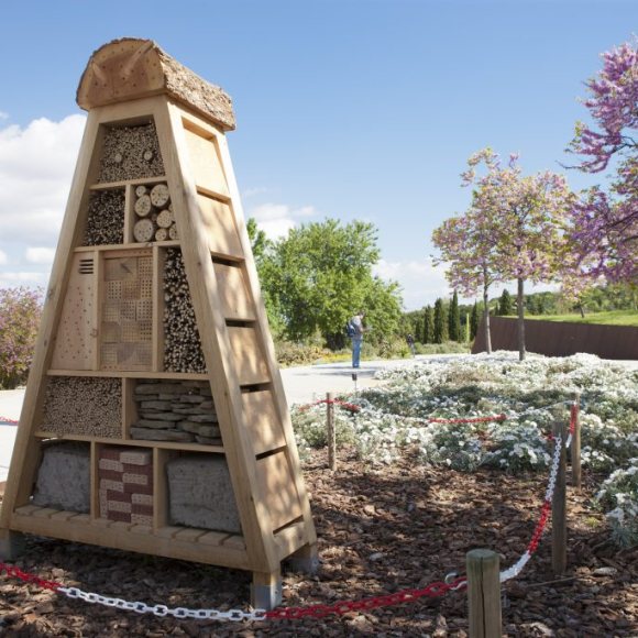 Visita lliure - Jardí Botànic de Barcelona