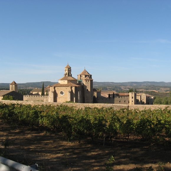 Vista de Poblet