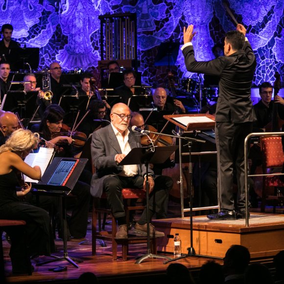 Músics de l'Orquestra Simfònica del Vallès a l'escenari del Palau